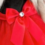 Odjeća za Srećnog psa- Lucky Dog- crveno crna haljina - Image 3